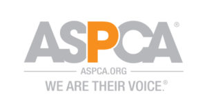 The Alberta SPCA helped remove 52 horses and six dogs from a rural property near Edmonton, Alberta on January 8, 2019.