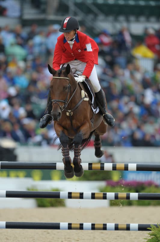 Canadian Sport Horse