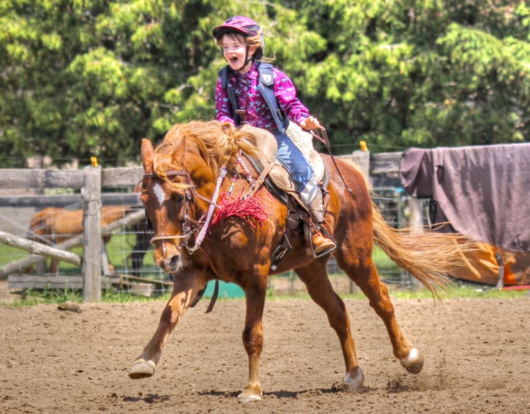 The Great Debate Treeless Saddles vs. Traditional Saddles