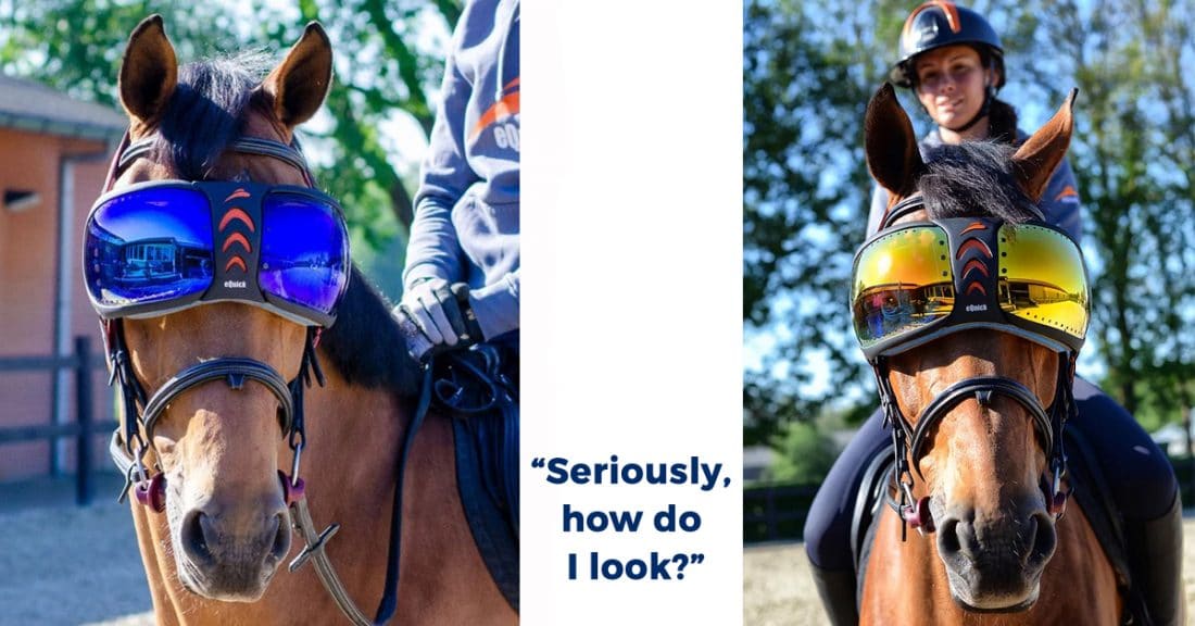 GooglyEyes Horse Goggles are Getting Lots of Looks