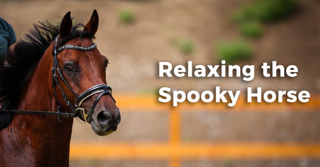 Tips for Relaxing the Spooky Horse