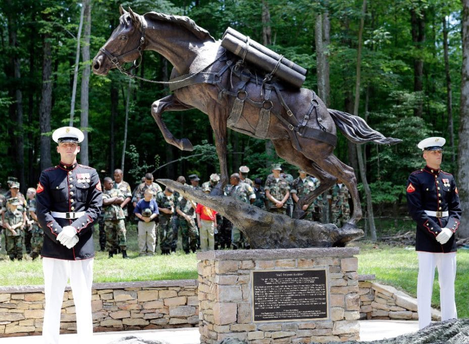 https://horse-canada.s3.ca-central-1.amazonaws.com/wp-content/uploads/2022/02/07072106/Sgt-Reckless-929x681.jpg