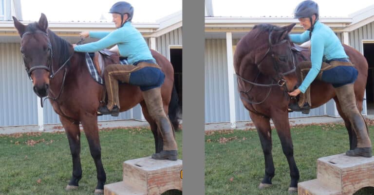 Train Your Horse to Stand Still for Mounting