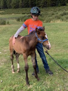 A boy with a foal.