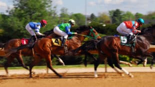 A group of horses racing on a dirt track.