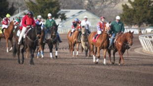 Racehorses during the post parade.