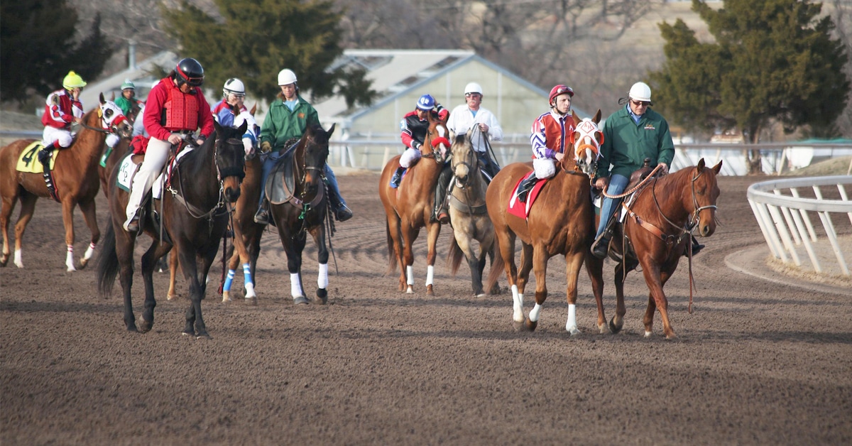 Racehorses during the post parade.