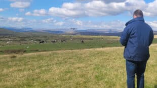 A man operating a drone over a herd of ponies.