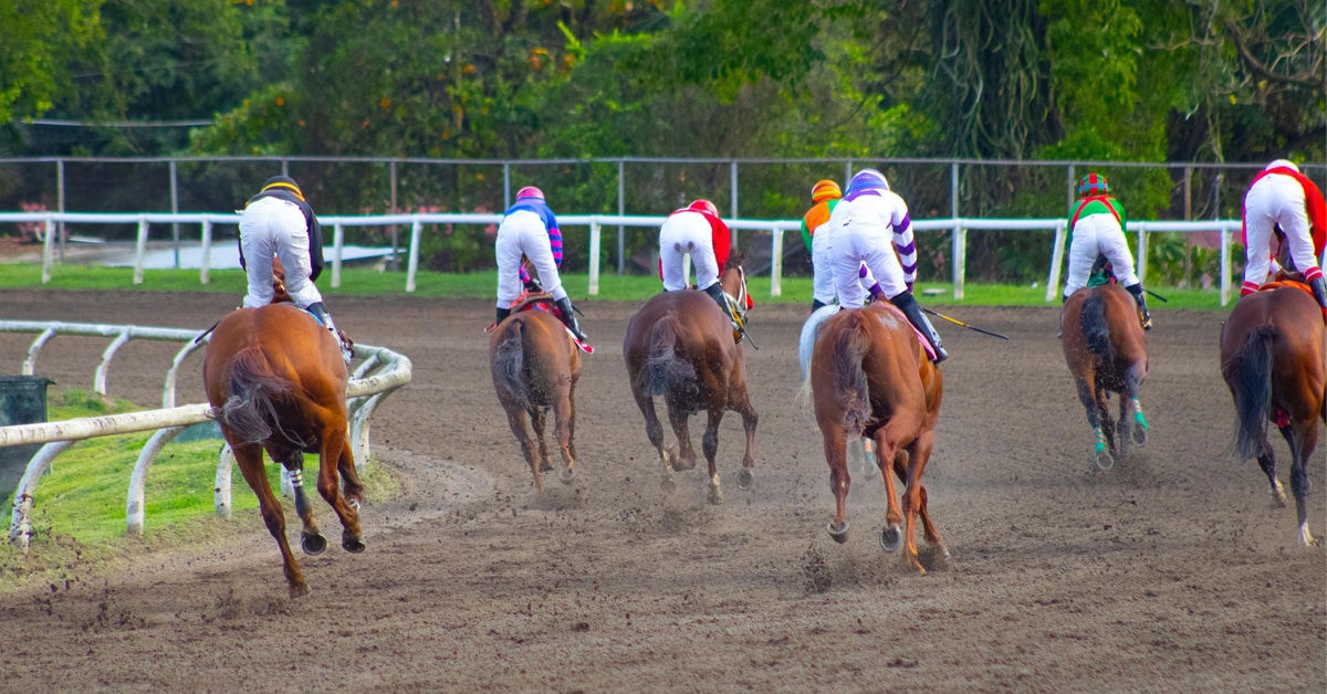 A group of horses and jockeys galloping away from the camera.