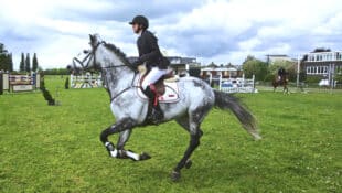 A woman riding a grey horse.