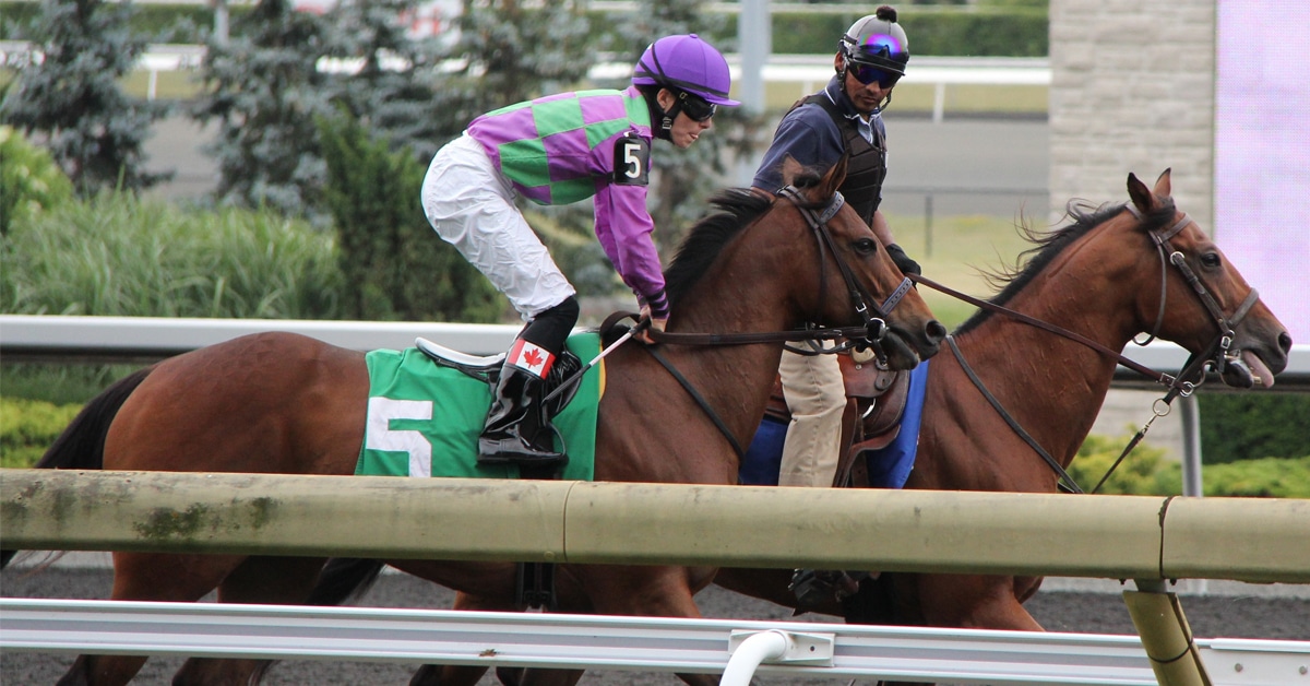 A racehorse being led to the gate wearing the #5.