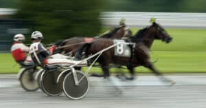 Harness horses racing.