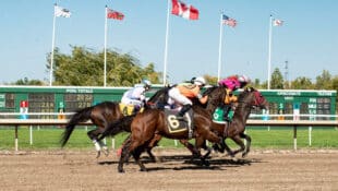Horses racing at a Canadian track.