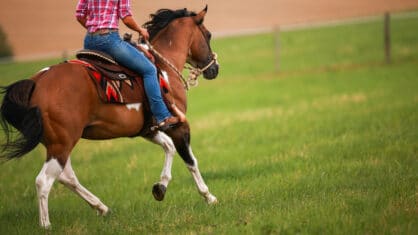 A person riding a horse in a western saddle, loping in a field.