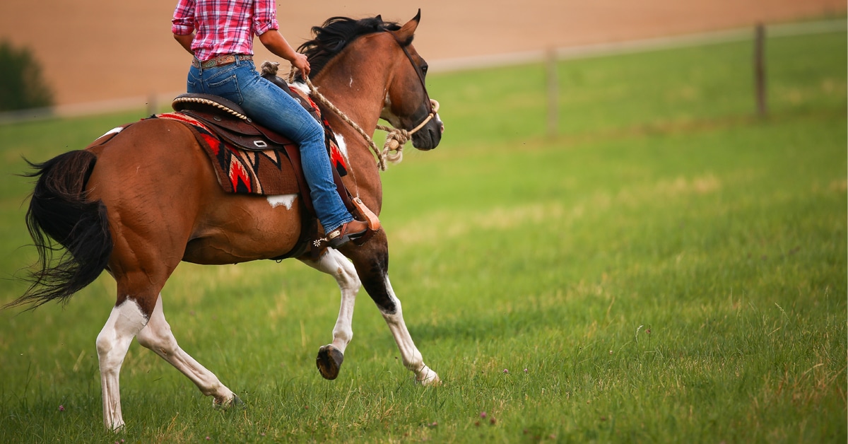 A person riding a horse in a western saddle, loping in a field.