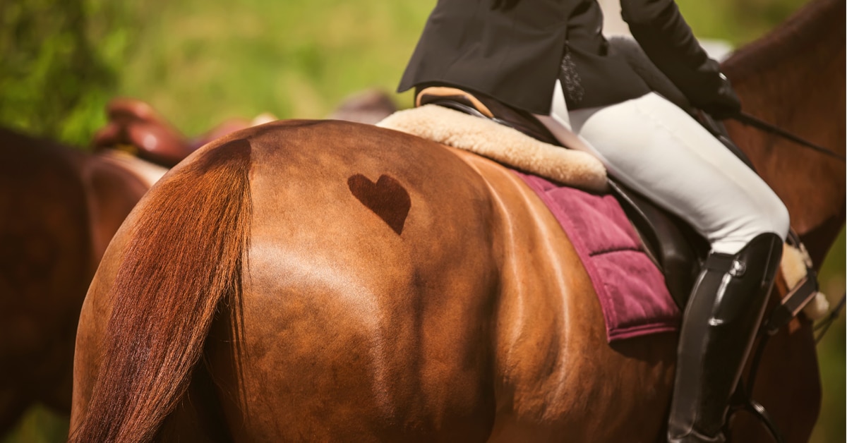 A chestnut horse's back with a heart on its rump.
