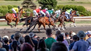 Horses racing with a crowd trackside.