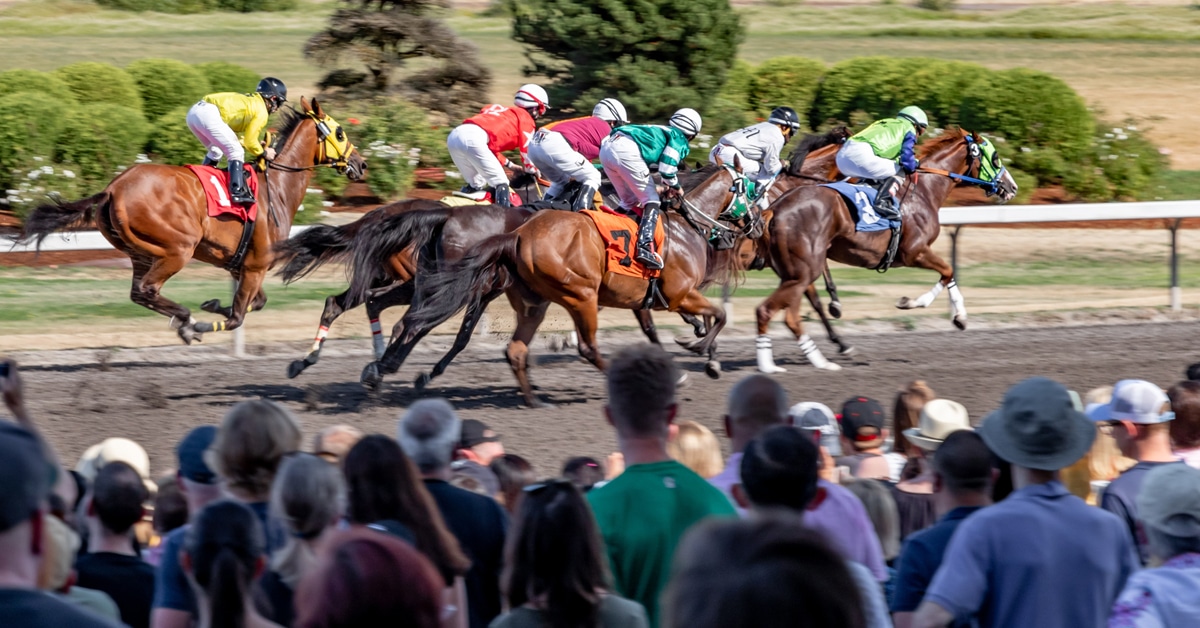 Horses racing with a crowd trackside.