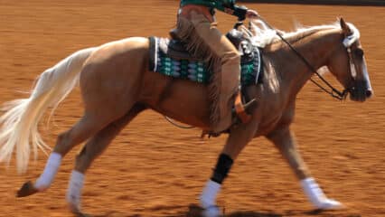A palomino galloping during a class at a show.
