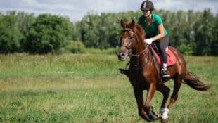 A young woman galloping a horse in a field.