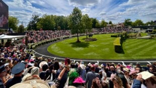 A large crowd of people watching horse racing.