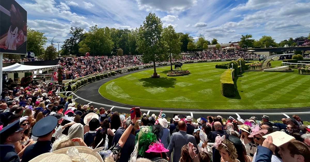 A large crowd of people watching horse racing.
