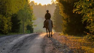 A woman riding a horse down a road in the fall.