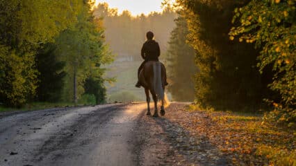 A woman riding a horse down a road in the fall.