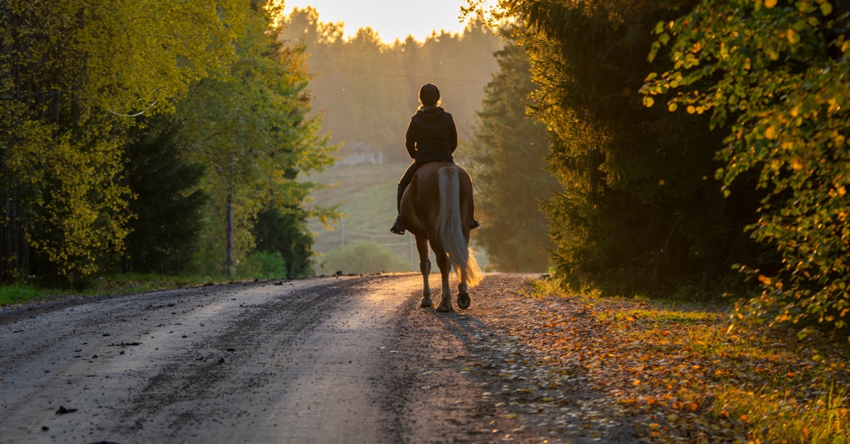 A woman riding a horse down a road in the fall.