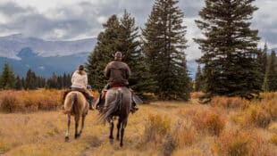 Trail riding in Alberta.